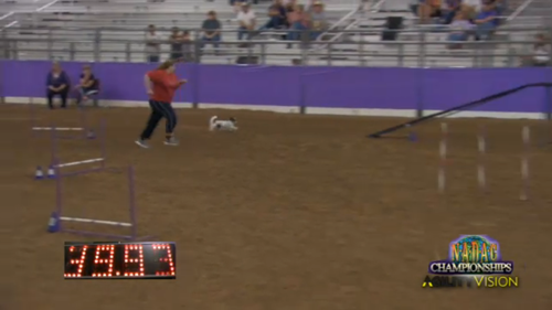 Rockit Doggie™ in the National Championship finals