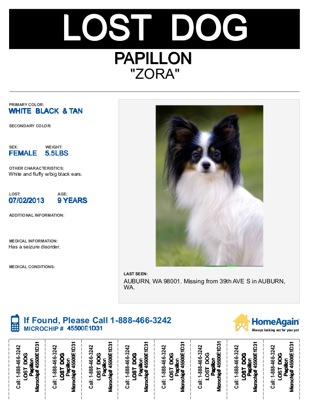 LOST ZORA - a 9-year-old, female papillon - call 1-888-466-3242 with any information!