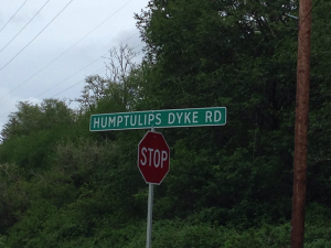 humptulips dyke road