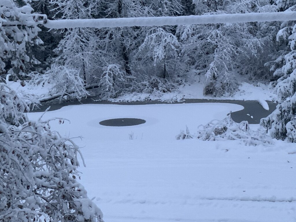 221201 circular hole in the pond