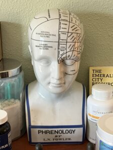 phrenology bust in "dr." william mcdonald's office