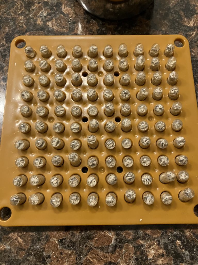 231106 capsule making results
